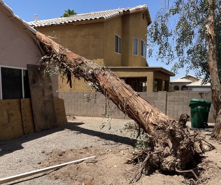 Top 5 AZ Monsoon Dangers