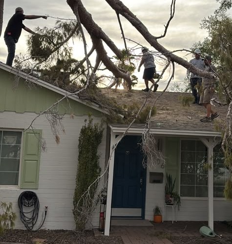 This picture show tree fall removal services conducted by AZ Construction & Renovation in Phoenix.